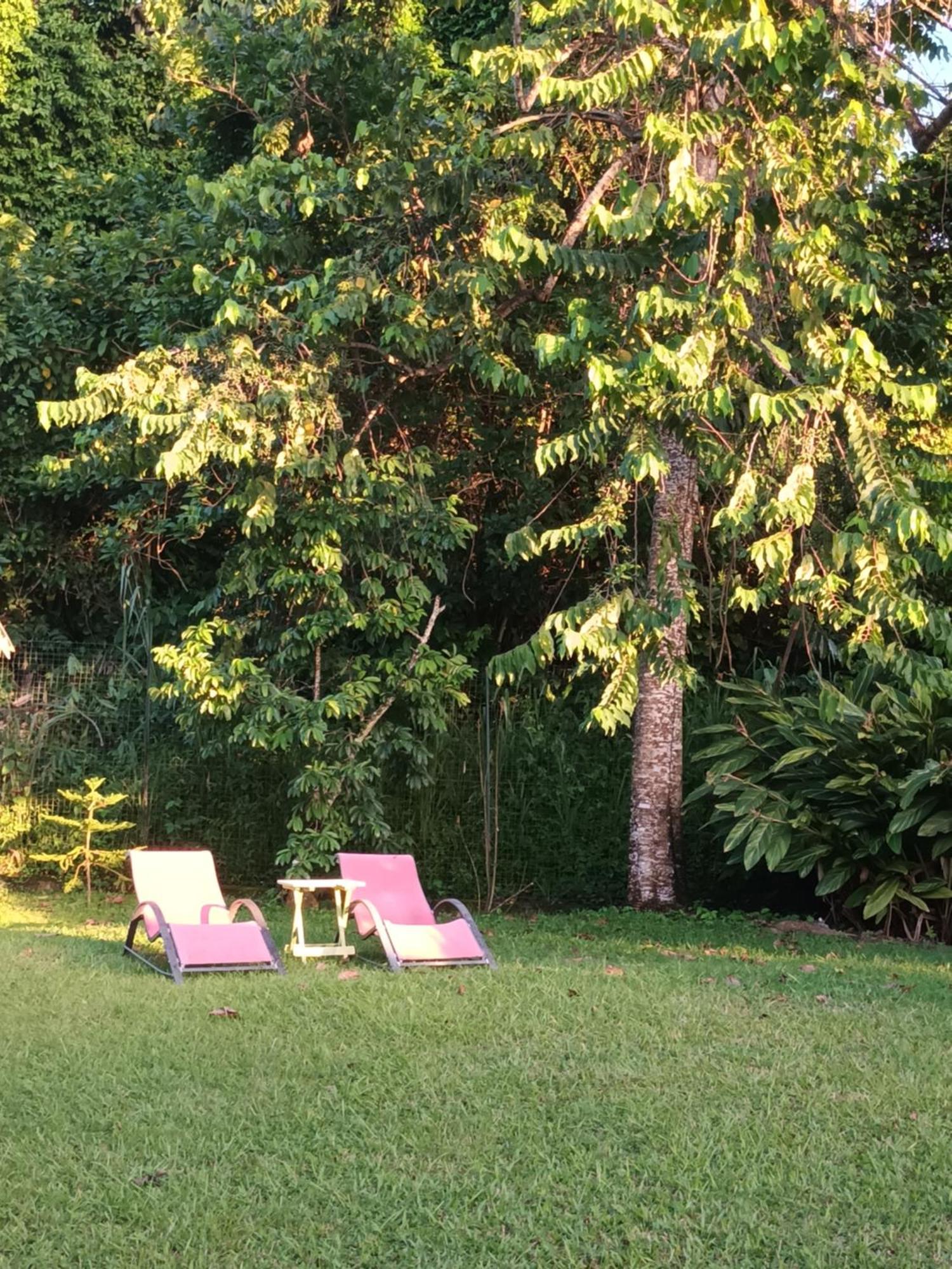 Passion Caraibes Apartamento Saint-Claude Exterior foto